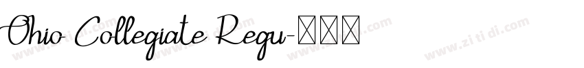 Ohio Collegiate Regu字体转换